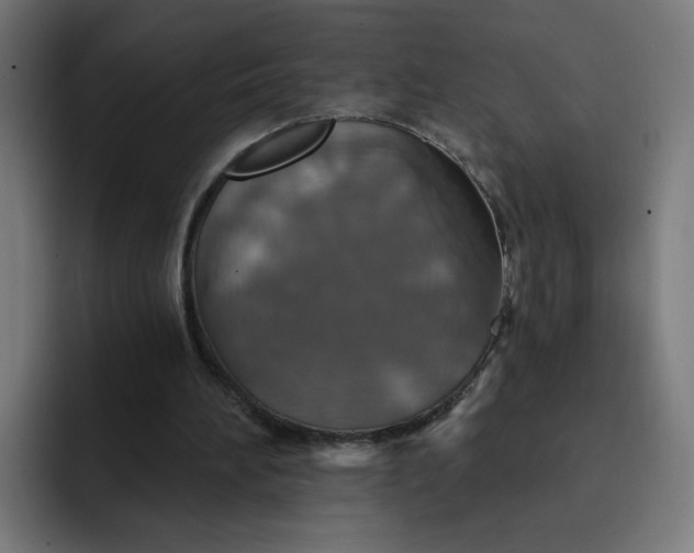 X0000093250196200710101447