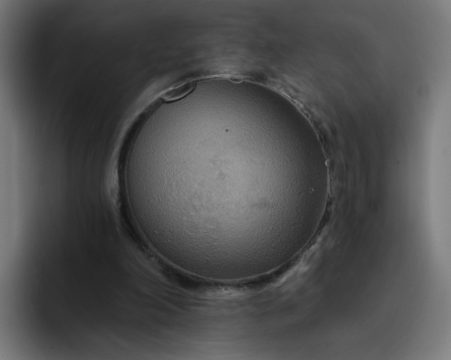 X0000093250198200710101447