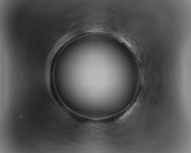 X0000093250199200710101447