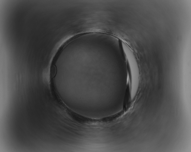 X0000093250200200710101447