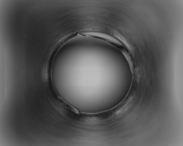 X0000093250203200710101447