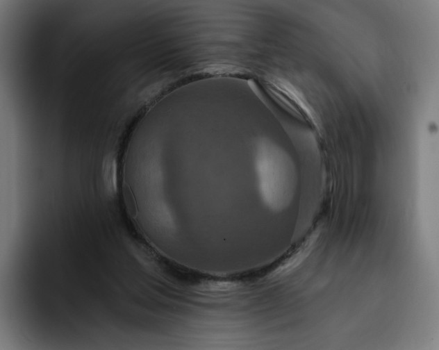 X0000093250205200710101447