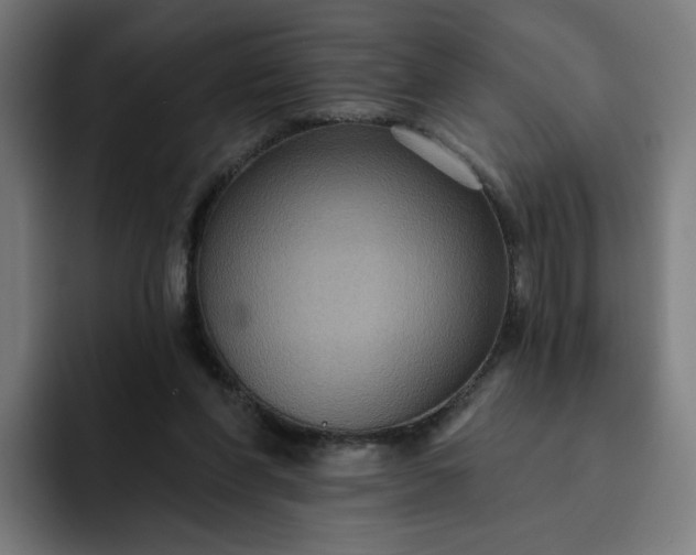 X0000093250206200710101447