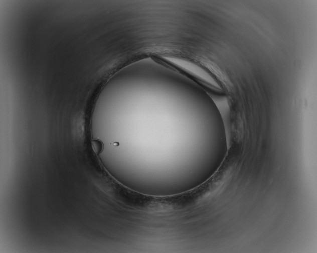 X0000093250207200710101447