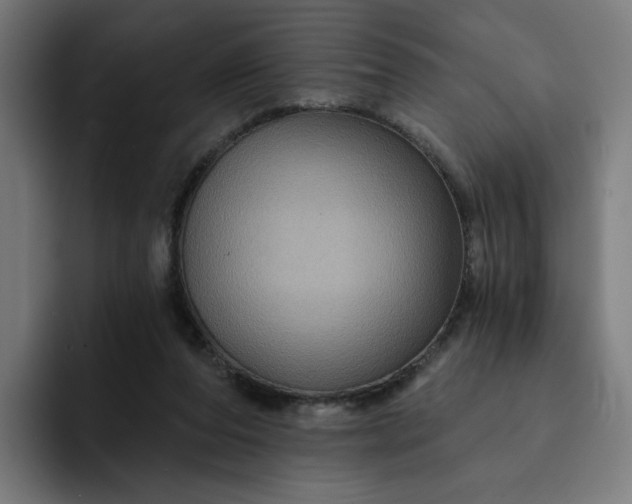 X0000093250208200710101447