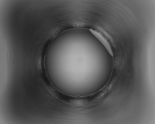 X0000093250209200710101447