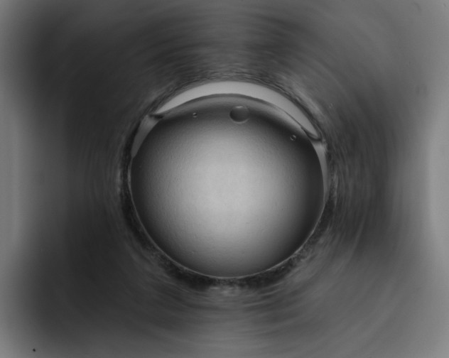 X0000093250211200710101447