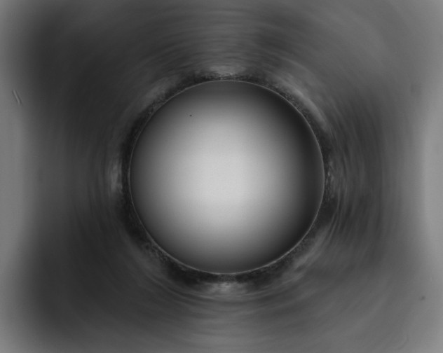 X0000093250212200710101447