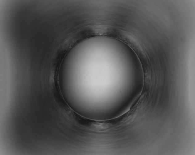 X0000093250221200710101447