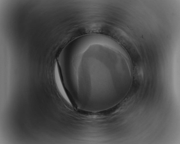 X0000093250224200710101447