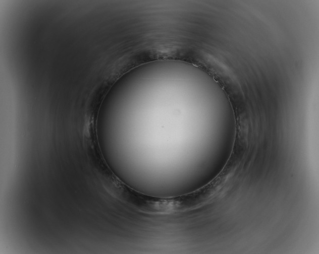 X0000093250225200710101446