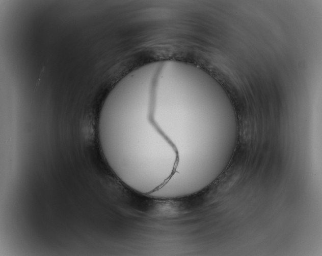 X0000093250226200710101446