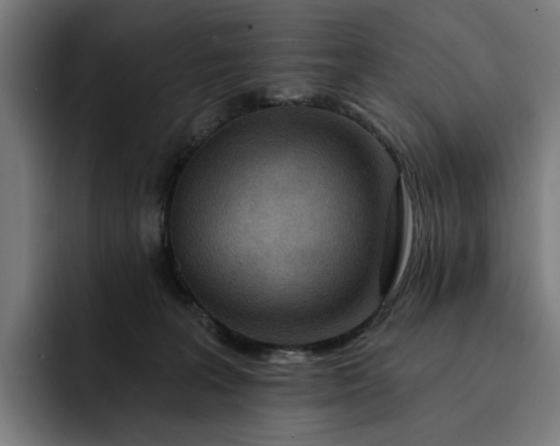 X0000093250227200710101446