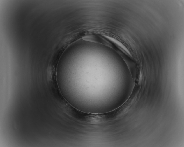 X0000093250229200710101446