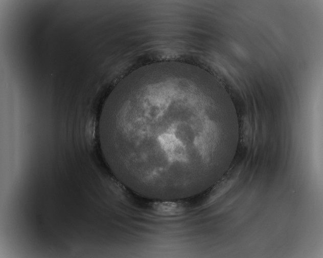 X0000093250230200710101446