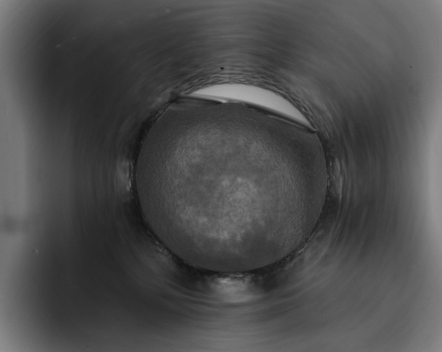 X0000093250232200710101446