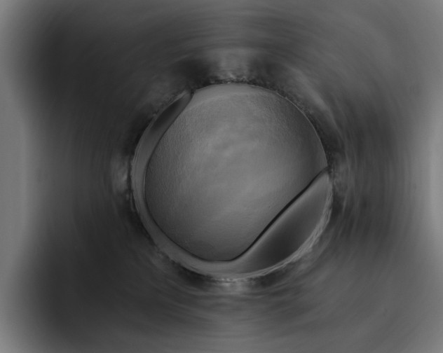 X0000093250233200710101446