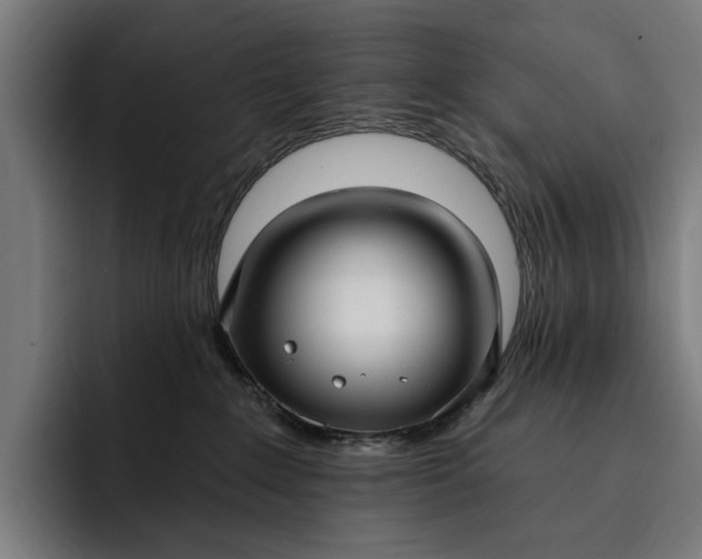 X0000093250235200710101446