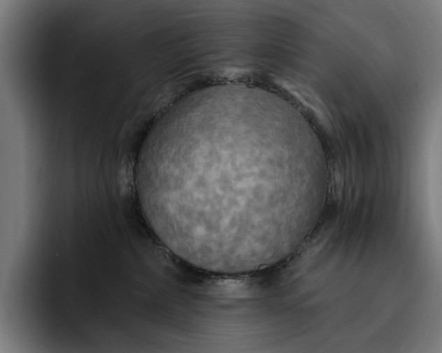 X0000093250236200710101446