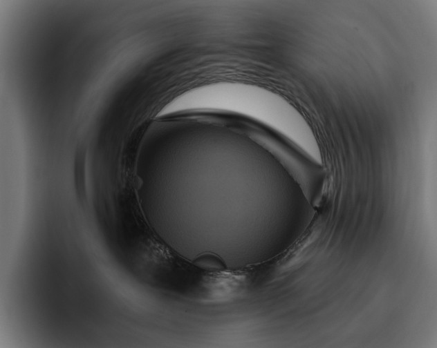 X0000093250239200710101446