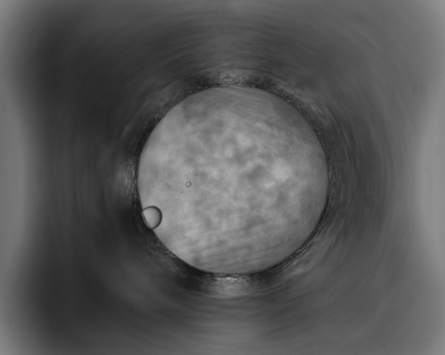 X0000093250240200710101446