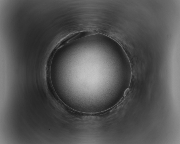 X0000093250242200710101446