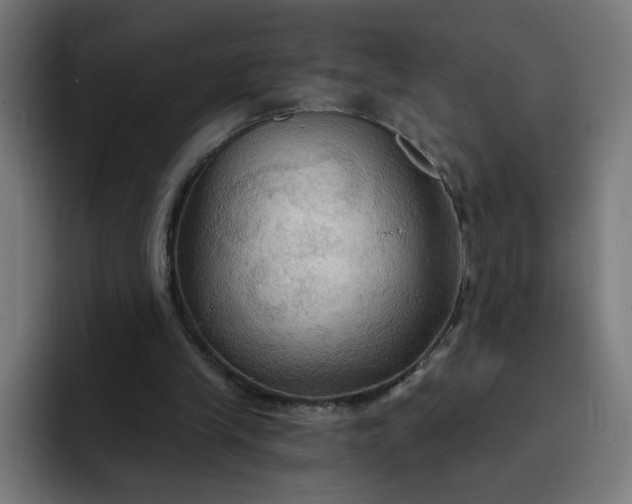 X0000093250245200710101446