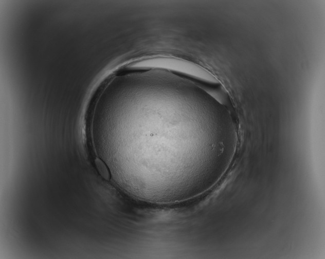 X0000093250246200710101446