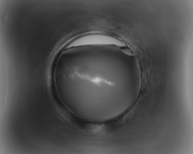 X0000093250247200710101446