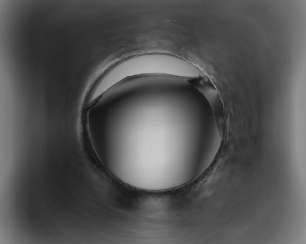 X0000093250248200710101446