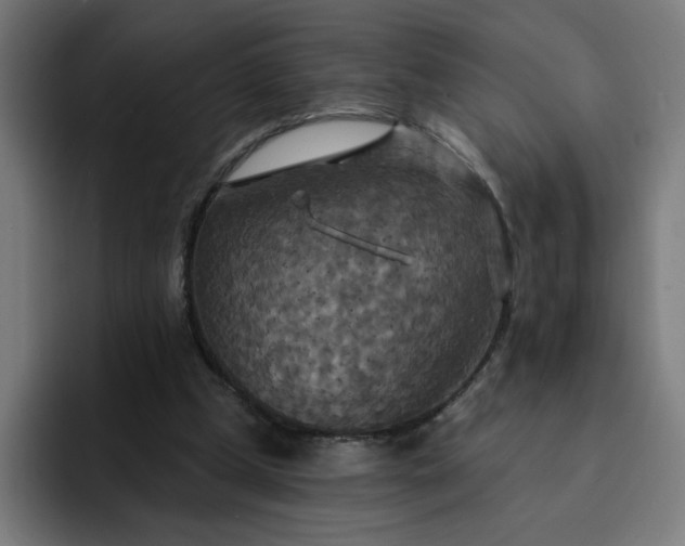 X0000093250249200710101446