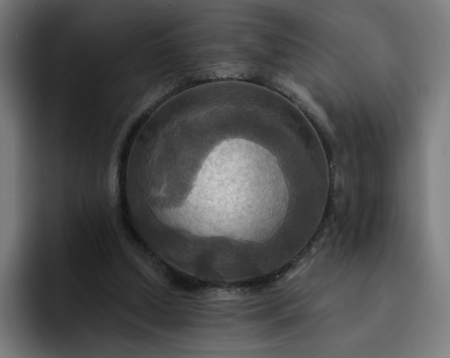 X0000093250250200710101446