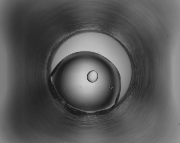 X0000093250252200710101446