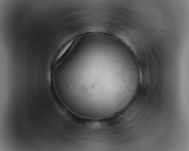 X0000093250253200710101446