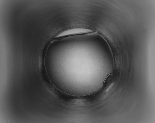 X0000093250255200710101446