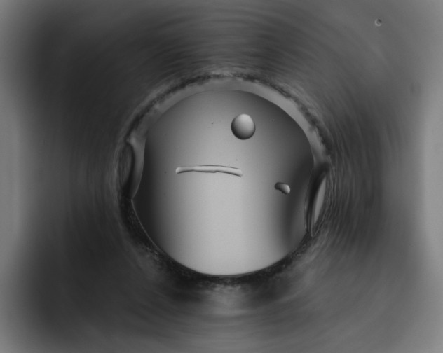 X0000093250256200710101446