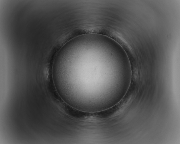 X0000093250259200710101446