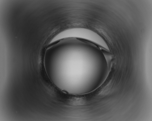 X0000093250260200710101446