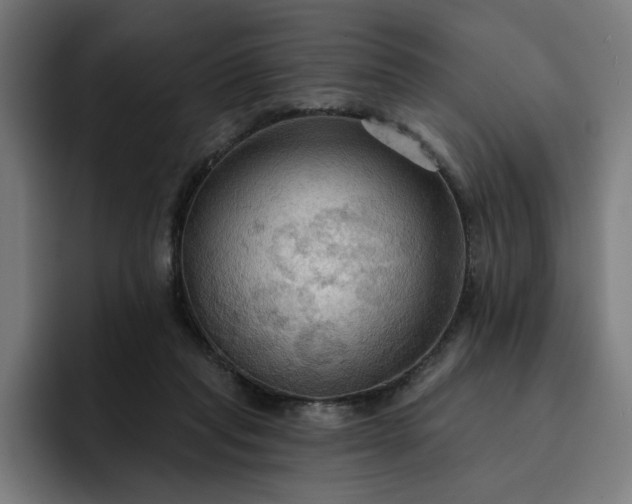 X0000093250261200710101446