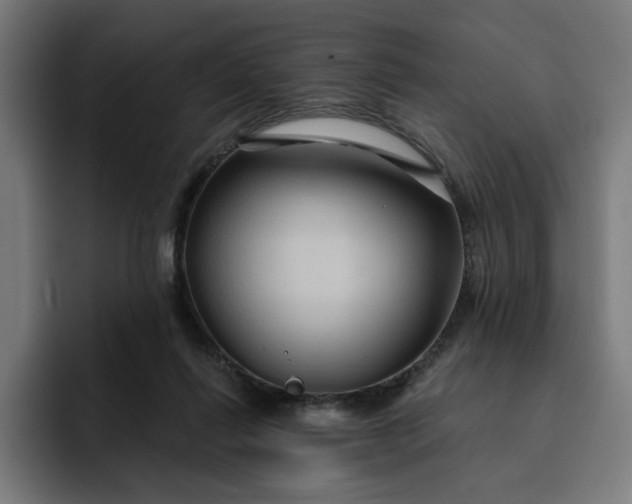 X0000093250262200710101446