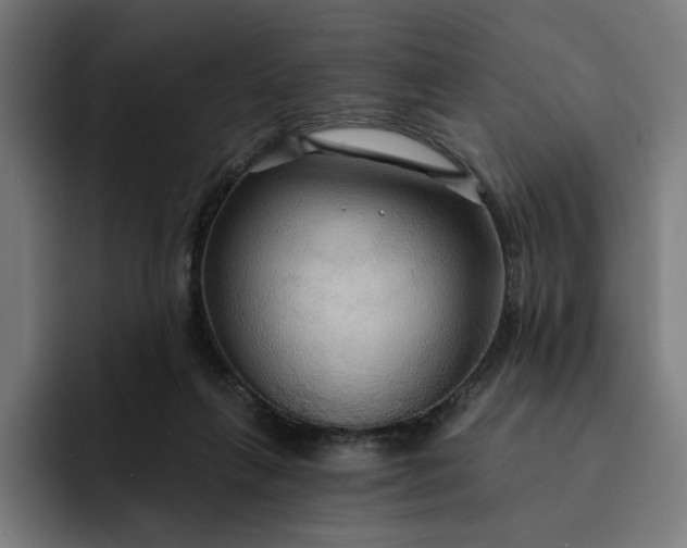 X0000093250263200710101446