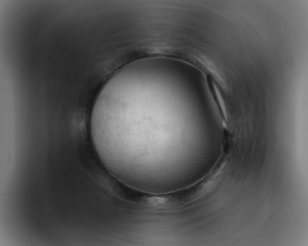 X0000093250265200710101446