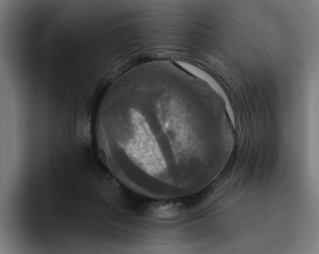 X0000093250267200710101446