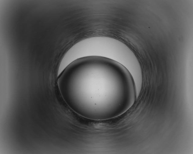 X0000093250268200710101446