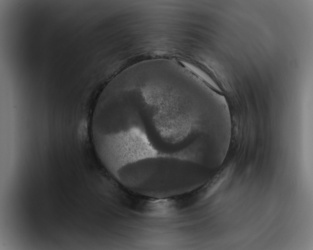 X0000093250269200710101446