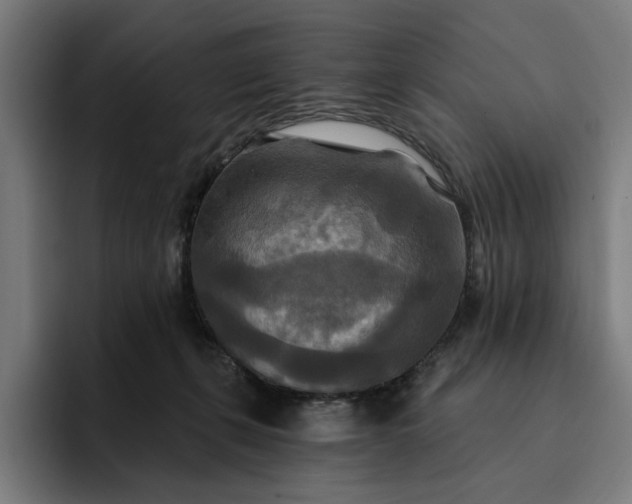 X0000093250271200710101446