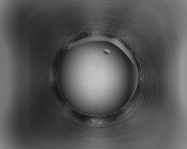 X0000093250272200710101446