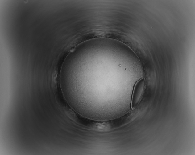 X0000093250275200710101446