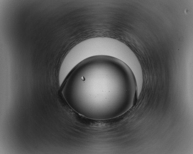 X0000093250276200710101446