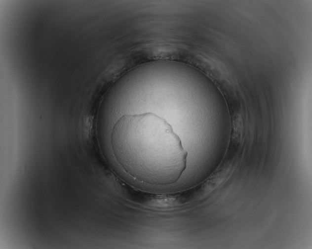 X0000093250278200710101446